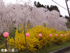 ����Į������ ������� 2013