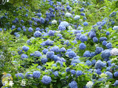 ��������ʸ������ ������������ �� ���۲� �������� 2010