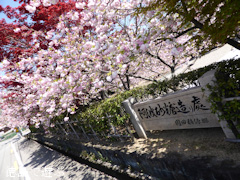 ���縩�������Į ���������� Ȭ�ź� 2014