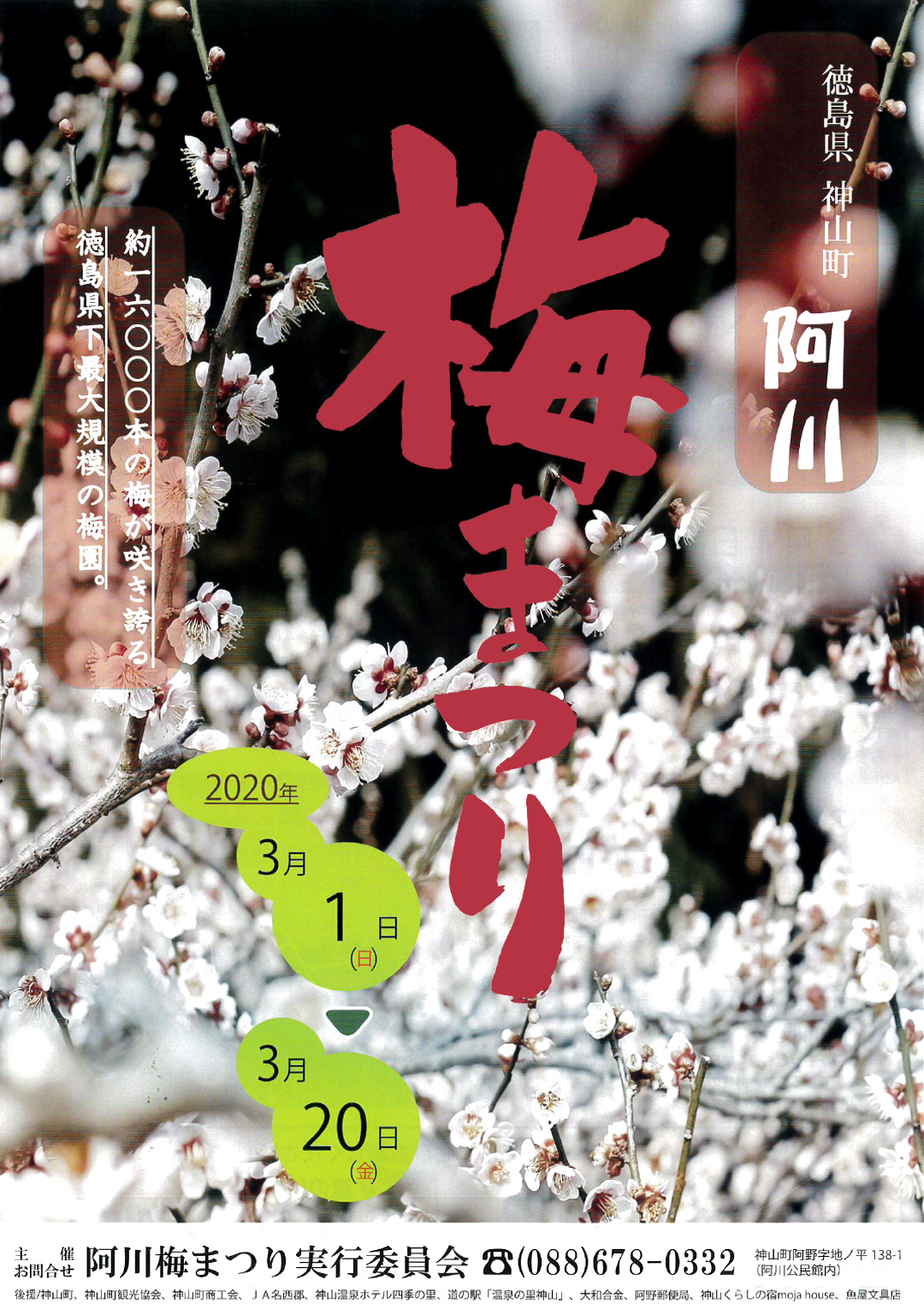 あるでよ Blog 神山町