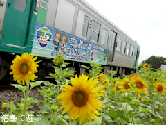���縩���������Į��ë ������ ������ 2014