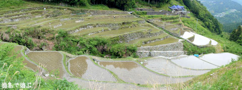 ���Ƥ�ê�� �Ŀ��� 2009