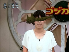JRT 四国放送 ゴジカル 放送中 停電