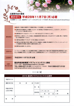 徳島県板野郡藍住町 あいずみ 秋のバラまつり 2016