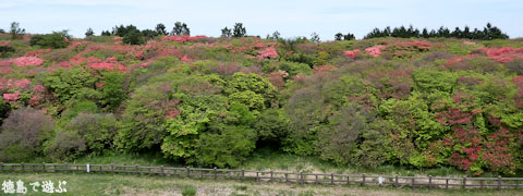 あるでよ Blog 船窪つつじ公園 あるでよ Blog 船窪つつじ公園