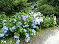 ��������ʸ������ ������������ �� ���۲� �������� 2010