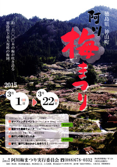 徳島県名西郡神山町 阿川梅の里 梅まつり 2015