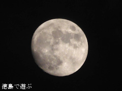 徳島県 後の十三夜月 2014