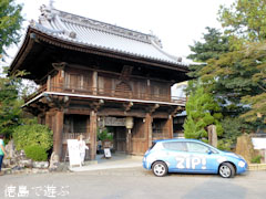 ܥƥ ZIP! ZIPPEI 縩