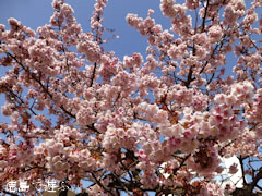 ξ������� ���� 2013