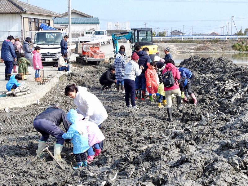 鳴門 れんこん掘り体験 18 あるでよ Blog