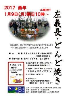 徳島県板野郡松茂町 月見ヶ丘海浜公園 左義長 どんど焼き 2017