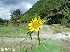 �֡���Τ�褳�� �Ҥޤ�� ������ 2010