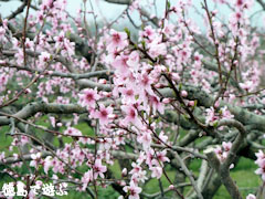 ���縩�������Į ���β�