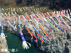 鯉のぼり 大歩危峡を泳ぐ 2011