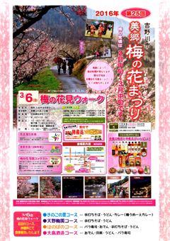 徳島県吉野川市 美郷 梅の花まつり 2016
