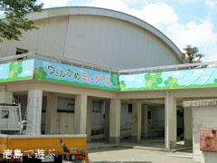 ウェルかめ ミュージアム