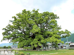 ���Ф��祯��