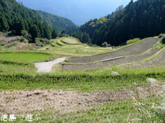 樫原の棚田 2010年秋冬