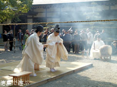 ����Ԣ��ε� ������ſ��� �������