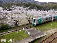 ���縩���ϻԷ��Į JR�͹� ������ �����