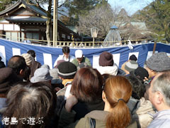 ����Ԣ��ε� ������ſ��� �������