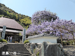 ���縩̾��������Į������ ������ �Τܤ�ƣ 2014