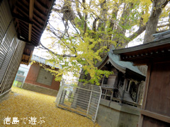 ���縩�������Į ���ݿ��ҤΥ����祦 2014