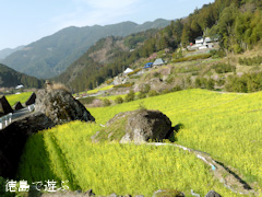 ���縩̾��������Į ���� �ڤβ֤�Τ ���� 2014