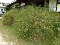 ������ �� 2011