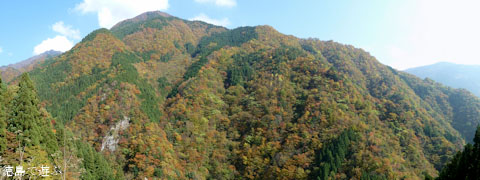 三好市東祖谷 紅葉 2010