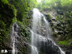 母衣暮露滝 2011