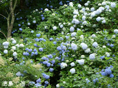 ��������ʸ������ ������������ �� ���۲� �������� 2010