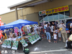 かつうら元気市 軽トラ市4