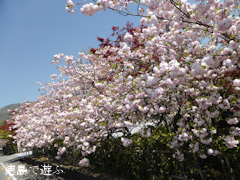 ���縩�������Į ���������� Ȭ�ź� 2014