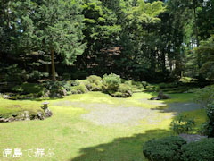 ζ���� ������ ��������