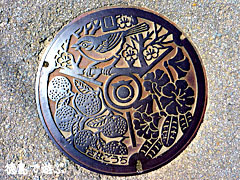 佐那河内 マンホール蓋