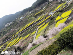 ���� ���� �ڤβ� 2013