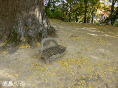 �绳�� �����祦 ���� 2013