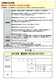 徳島県板野郡藍住町 あいずみ 秋のバラまつり 2018