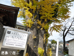 ��ʡ���Υ����祦 2013