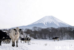 ��쿷ǯ2009
