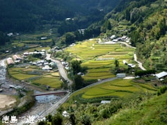 田野々の棚田 2011年9月