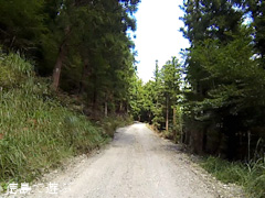 ���縩̾��������Į��ʬ ��ƻ ��ë�� 2014