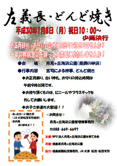 徳島県板野郡松茂町 月見ヶ丘海浜公園 左義長 どんど焼き 2018