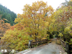 三好市東祖谷 紅葉 2010
