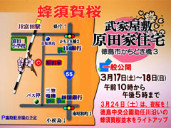 ���ĲȽ��� ���̸��� 2012