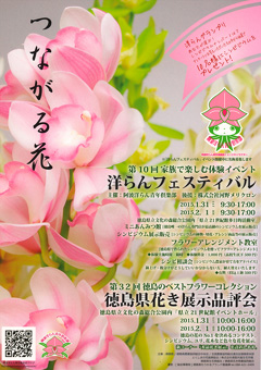 徳島県徳島市 文化の森総合公園 第10回 洋らんフェスティバル 2015