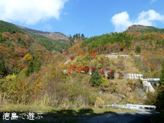 三好市東祖谷 紅葉 2010