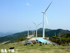 大川原高原
